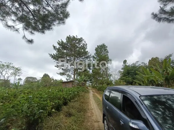 image TANAH KAVLING 250 M2 VIEW LAUT LOVINA & GUNUNG BATUKARU - KAWASAN PARIWISATA WANAGIRI BULELENG HANYA 150 METER DARI AIR TERJUN CINTA. (3)