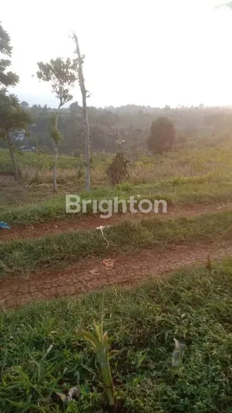 image TANAH PREMIUM 2000M² DEKAT UNPAD, IDEAL UNTUK PERUMAHAN (3)