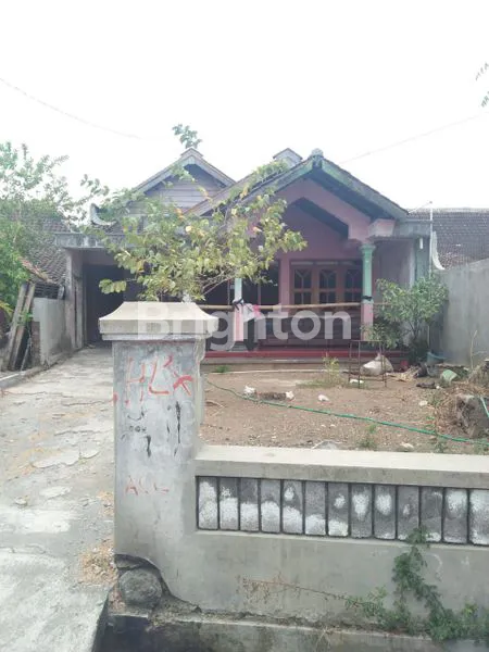 image RUMAH HALAMAN LUAS (5)