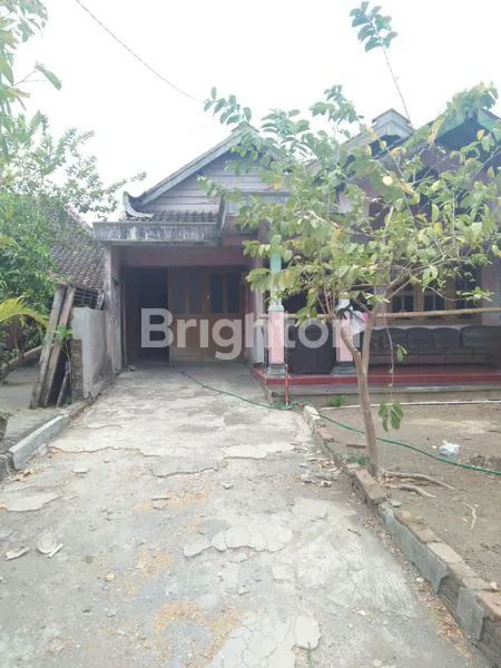 image RUMAH HALAMAN LUAS (1)