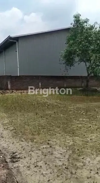 image TANAH INDUSTRI KOMERSIAL, SHM-BENJENG, GRESIK (7)