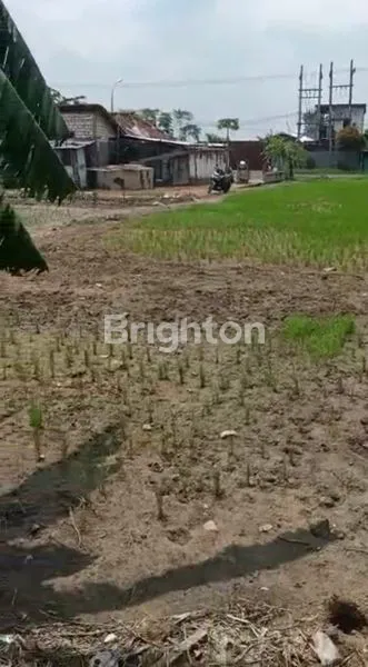 image TANAH INDUSTRI KOMERSIAL, SHM-BENJENG, GRESIK (5)