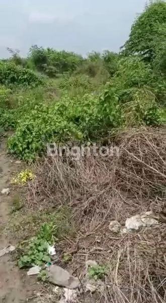 image TANAH INDUSTRI KOMERSIAL, SHM-BENJENG, GRESIK (6)