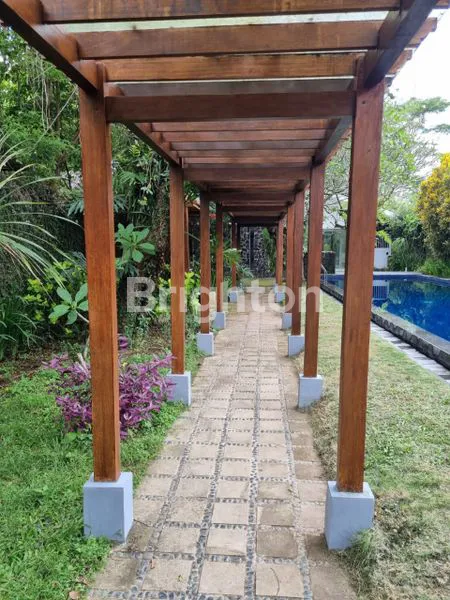 image NEGO SAMPAI DEAL (4)