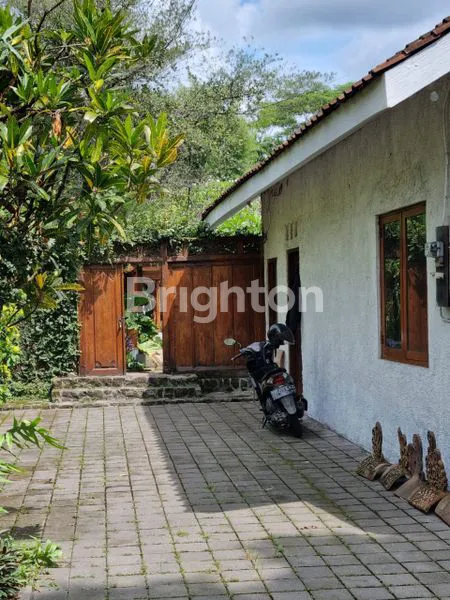 image NEGO SAMPAI DEAL (7)