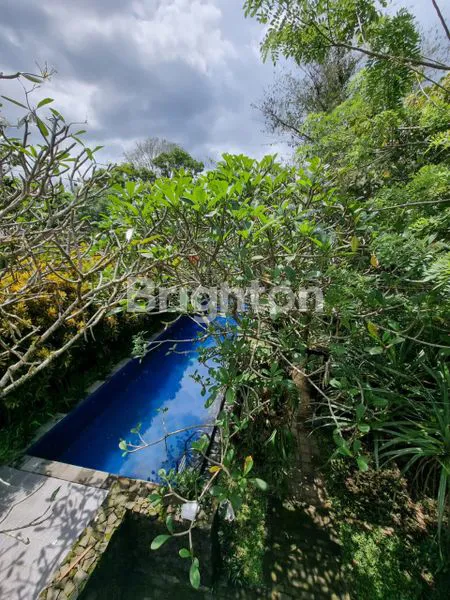 image NEGO SAMPAI DEAL (6)