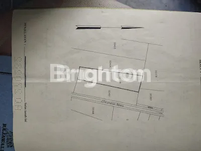 image TANAH GRESIK (1)