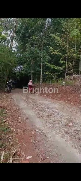 image TANAH DI MANONJAYA (3)