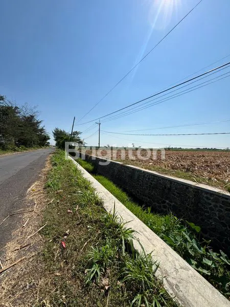 image TANAH KEBUN 2.6 HA VIEW ASRI DI ALAS MALANG, SITUBONDO (2)