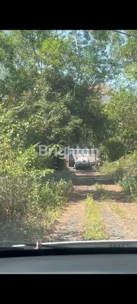 image TANAH PREMIUM 615M² DEKAT KARMA KANDARA - VIEW PANTAI UNGASAN (7)