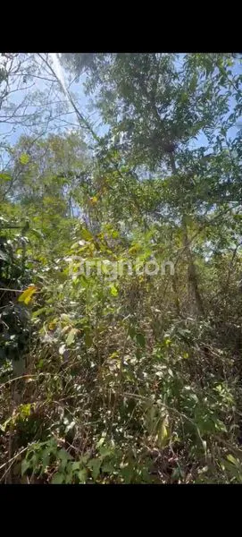 image TANAH PREMIUM 615M² DEKAT KARMA KANDARA - VIEW PANTAI UNGASAN (5)