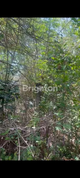 image TANAH PREMIUM 615M² DEKAT KARMA KANDARA - VIEW PANTAI UNGASAN (4)