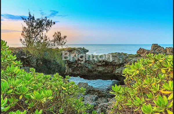 15,3 HECTARES PRIME BEACHFRONT & CLIFF LAND – WAIKAPENDU CLIFF, HAMELI ATE, SOUTHWEST SUMBA