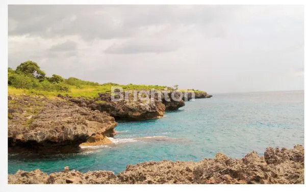image 15,3 HECTARES PRIME BEACHFRONT & CLIFF LAND – WAIKAPENDU CLIFF, HAMELI ATE, SOUTHWEST SUMBA (3)