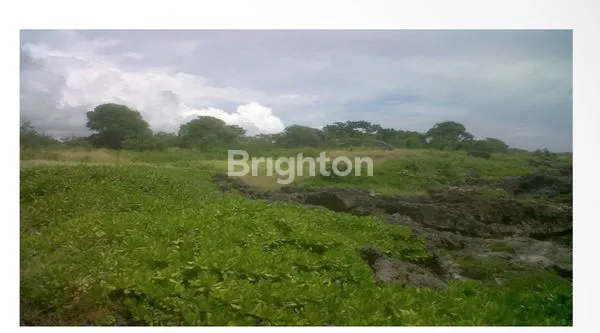 image 15,3 HECTARES PRIME BEACHFRONT & CLIFF LAND – WAIKAPENDU CLIFF, HAMELI ATE, SOUTHWEST SUMBA (5)