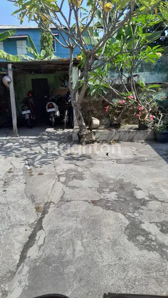 image  RUMAH ANTIK DI JL M.T. HARYONO (6)