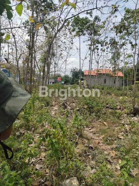 image TANAH LUAS COCOK UNTUK PERUMAHAN DI LINGKUNGAN KAWASAN INDUSTRI  (1)