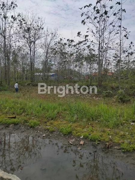 image TANAH LUAS COCOK UNTUK PERUMAHAN DI LINGKUNGAN KAWASAN INDUSTRI  (2)