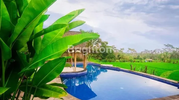 image DIJUAL VILLA RESORT TEGALLALANG, UBUD (2)