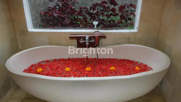 image DIJUAL VILLA RESORT TEGALLALANG, UBUD (7)