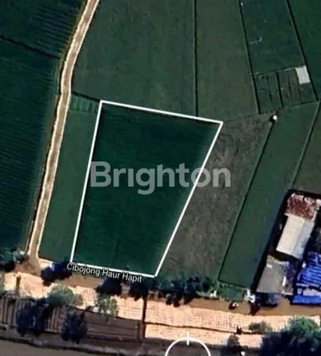 image TANAH SAWAH SIAP BANGUN (1)