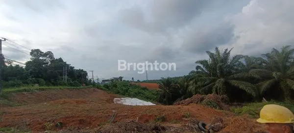 image TANAH KOMERSIAL 5 HA PINGGIR JALAN POROS IKN NUSANTARA - SHM (2)