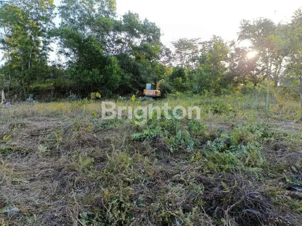 image TANAH DI SEWAKAN (4)