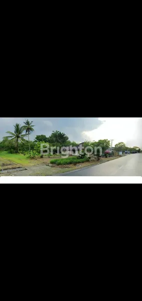 image DIJUAL TANAH DATAR DAN STRATEGIS (3)