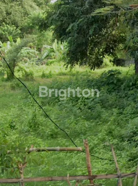 image TANAH PREMIUM 18 ARE DI JIMBARAN - VIEW SUNSET, SHM, ITR PINK (4)