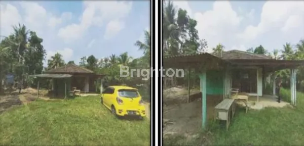 image RUMAH + TANAH DI PRINGSEWU (1)