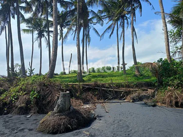 image TANAH LOS PANTAI PASUT – 45,75 ARE DENGAN VIEW LAUT & SAWAH (2)