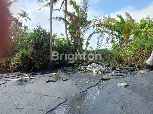 image TANAH LOS PANTAI PASUT – 45,75 ARE DENGAN VIEW LAUT & SAWAH (3)