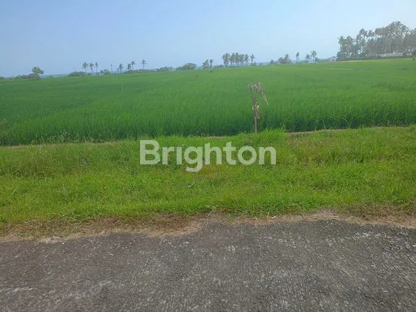 image TANAH LOS PANTAI PASUT – 45,75 ARE DENGAN VIEW LAUT & SAWAH (4)