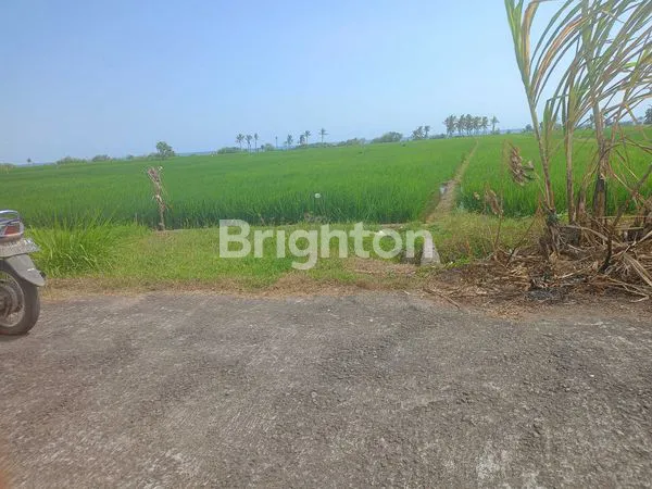 image TANAH LOS PANTAI PASUT – 45,75 ARE DENGAN VIEW LAUT & SAWAH (5)