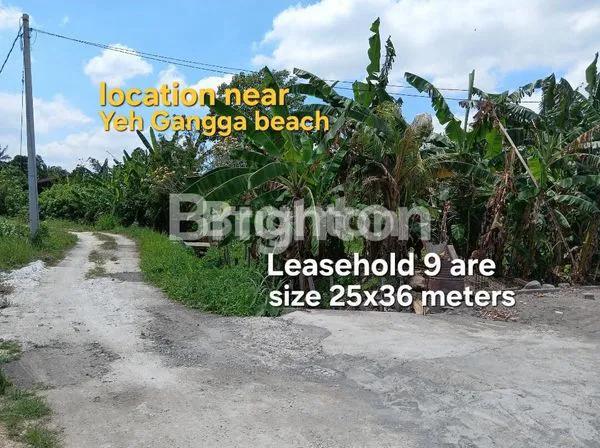 image LEASEHOLD LAND NEAR WAKA GANGGA HOTEL AT YEH GANGGA BEACH TABANAN BALI (3)