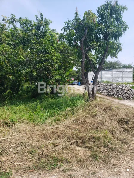 image TANAH KAVLING DI SAMPING TOL MANYAR GRESIK, COCOK UNTUK REST AREA JALAN TOLL, PERUMAHAN, KOST2 AN, KAVLINGAN, GUDANG MAUPUN YANG LAIN (1)