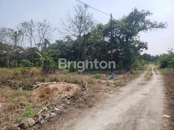 image TANAH KAVLING DI SAMPING TOL MANYAR GRESIK, COCOK UNTUK REST AREA JALAN TOLL, PERUMAHAN, KOST2 AN, KAVLINGAN, GUDANG MAUPUN YANG LAIN (3)