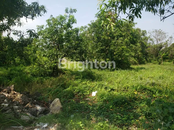 image TANAH KAVLING DI SAMPING TOL MANYAR GRESIK, COCOK UNTUK REST AREA JALAN TOLL, PERUMAHAN, KOST2 AN, KAVLINGAN, GUDANG MAUPUN YANG LAIN (4)