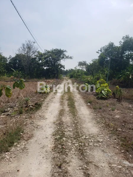 image TANAH KAVLING DI SAMPING TOL MANYAR GRESIK, COCOK UNTUK REST AREA JALAN TOLL, PERUMAHAN, KOST2 AN, KAVLINGAN, GUDANG MAUPUN YANG LAIN (5)