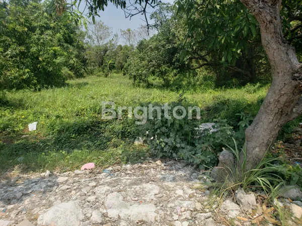 image TANAH KAVLING DI SAMPING TOL MANYAR GRESIK, COCOK UNTUK REST AREA JALAN TOLL, PERUMAHAN, KOST2 AN, KAVLINGAN, GUDANG MAUPUN YANG LAIN (6)