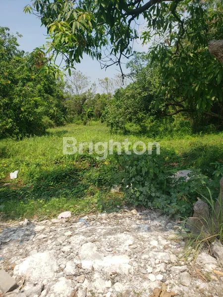 image TANAH KAVLING DI SAMPING TOL MANYAR GRESIK, COCOK UNTUK REST AREA JALAN TOLL, PERUMAHAN, KOST2 AN, KAVLINGAN, GUDANG MAUPUN YANG LAIN (7)