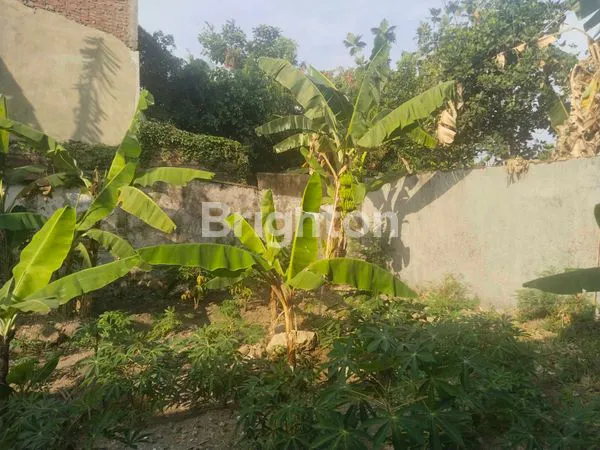 image TANAH DENGAN LINGKUNGAN RAMAI (3)