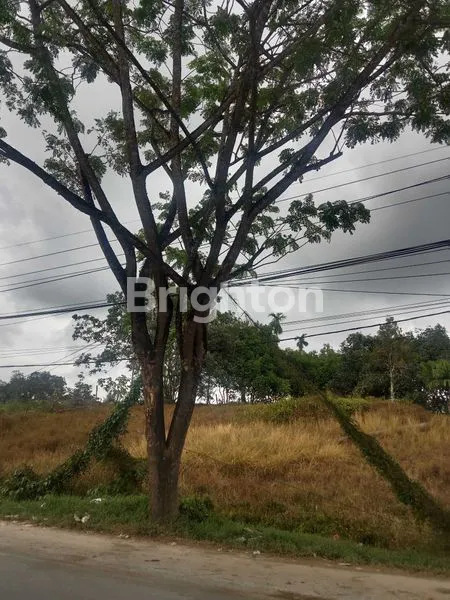 image INVESTASI EMAS: TANAH 8250M² JALAN SOEKARNO HATTA BALIKPAPAN UTARA (5)