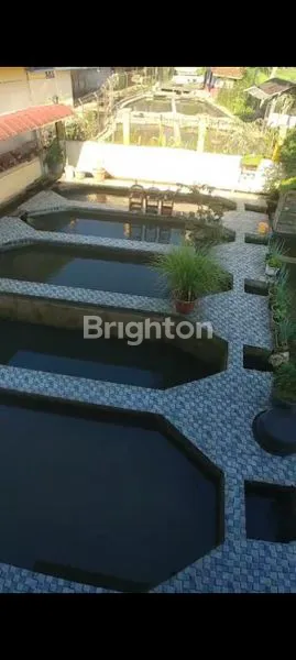 image VILLA MEWAH 5 LANTAI + KOLAM RENANG & KOLAM IKAN, LUAS 889 M², SIAP HUNI (3)