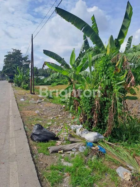 image DIJUAL TANAH LUAS 108 ARE – MENGWI, BALI \\UD83C\\UDF3F (4)