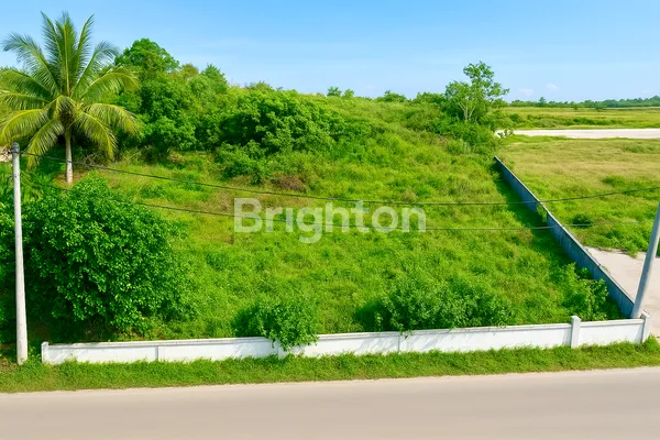 image TANAH DIJUAL MURAH DAN CEPAT LUAS 1.968 M² SHM DI JALAN SARWANI, MEKARSARI JAMBE – TANGERANG (1)