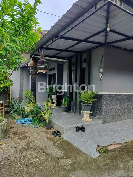 image RUMAH POROS GLAGAH IJEN BANYUWANGI  (2)