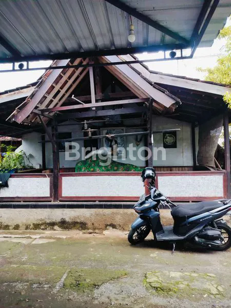 image RUMAH POROS GLAGAH IJEN BANYUWANGI  (3)
