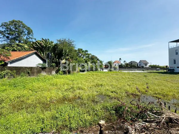 image LOKASI PREMIUM! TANAH SHM 4,8 ARE DI TUKAD BADUNG, AKSES MUDAH & LINGKUNGAN PERUMAHAN (4)