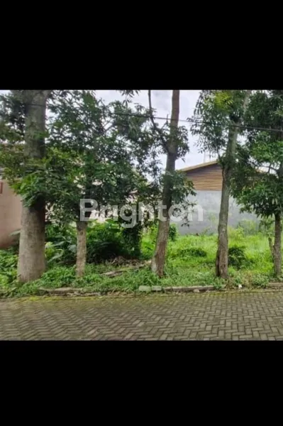 image DIJUAL CEPAT TANAH KAVLING DI TELUK ETNA ARJOSARI MALANG (1)